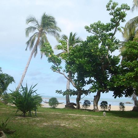 Les Lémuriens Ile aux Nattes Exterior foto