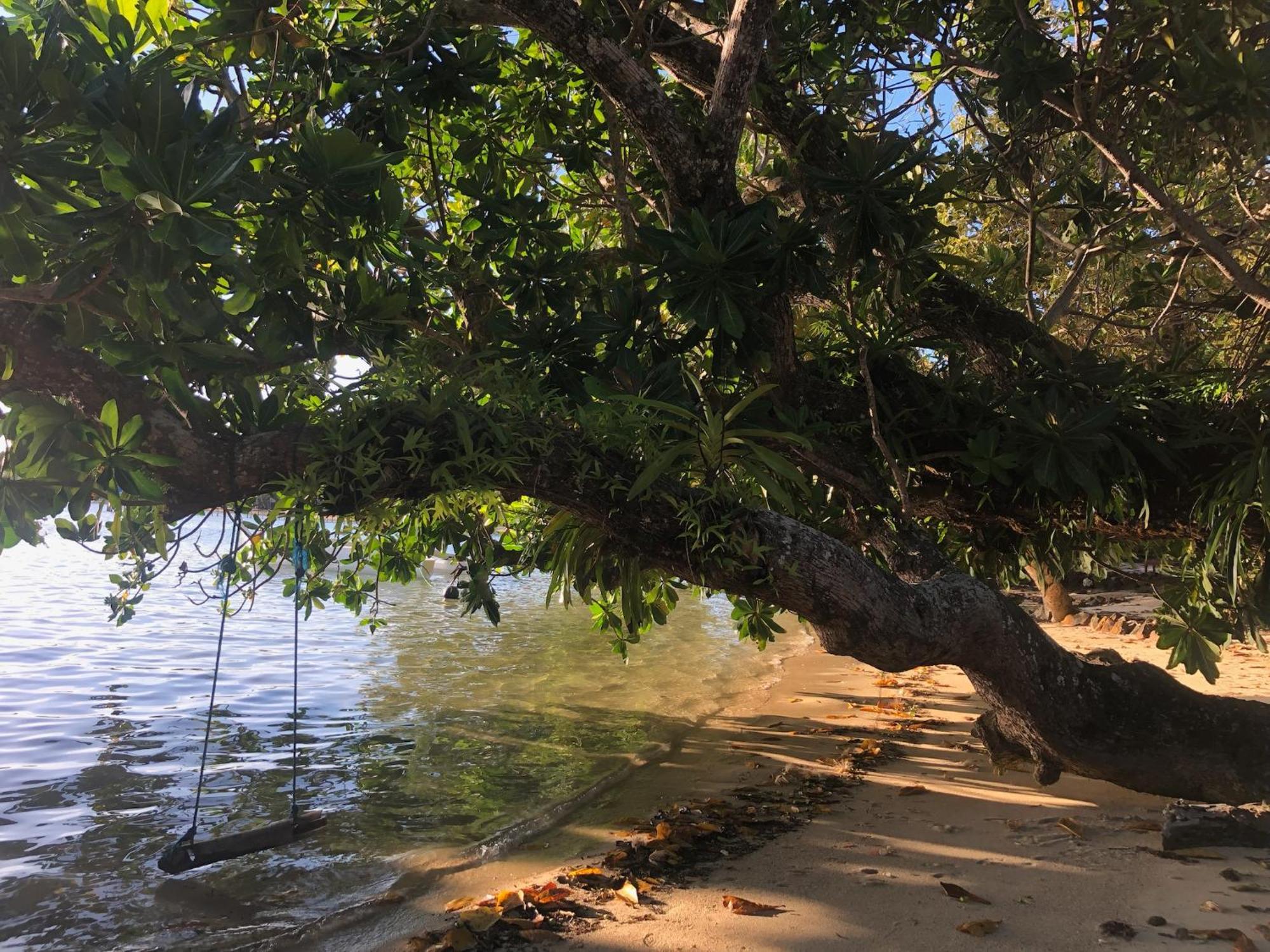 Les Lémuriens Ile aux Nattes Exterior foto