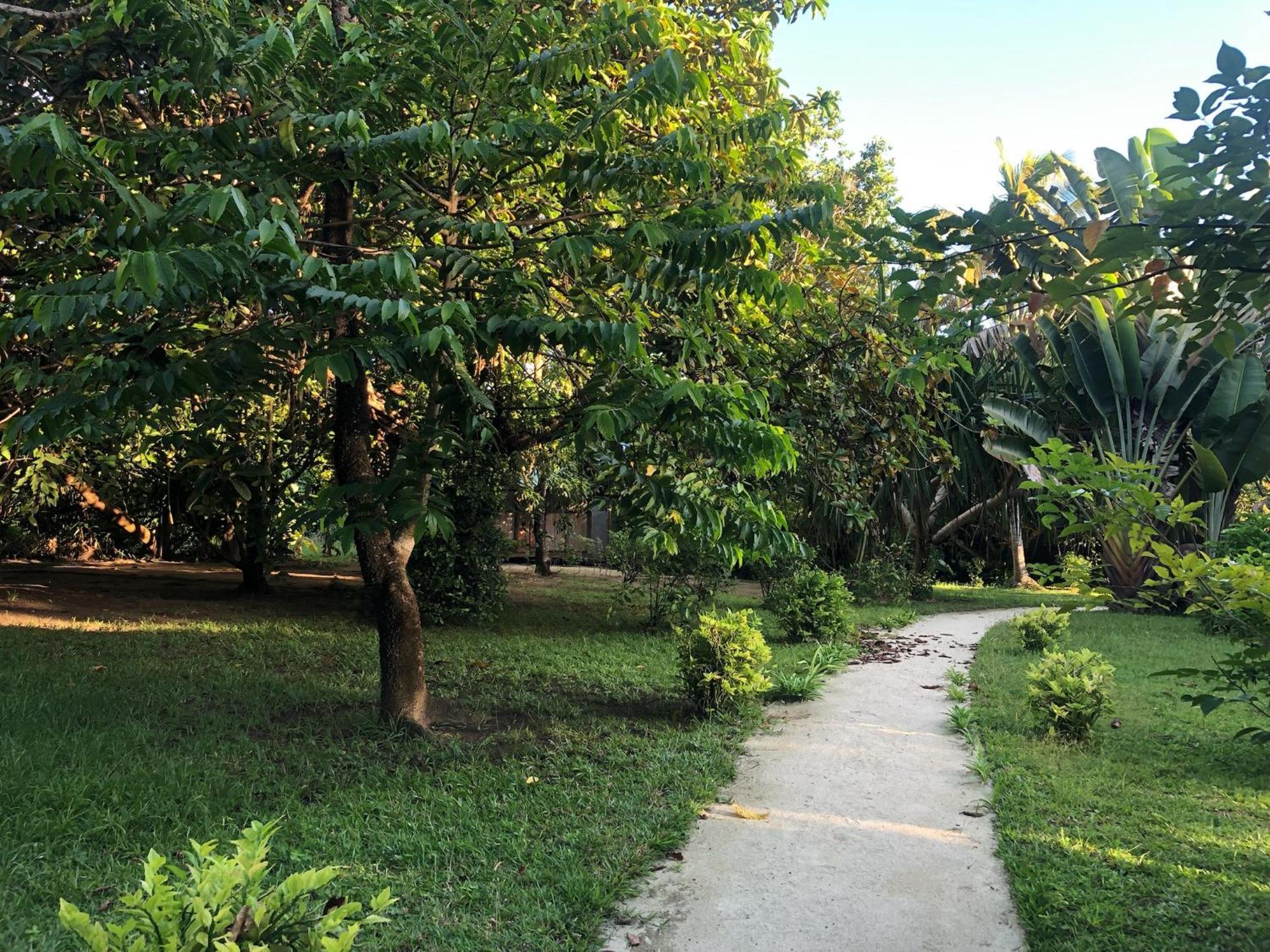 Les Lémuriens Ile aux Nattes Exterior foto