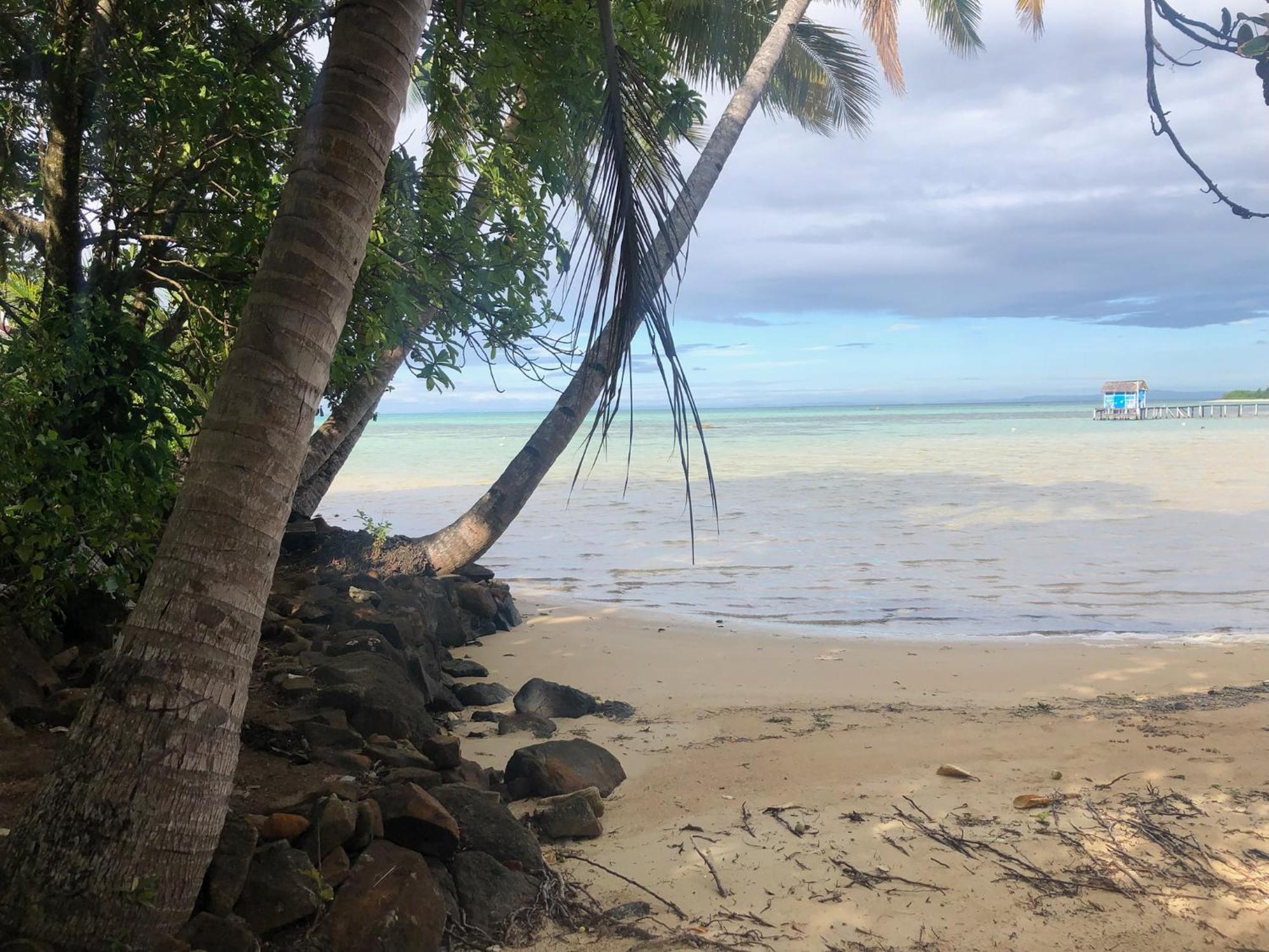 Les Lémuriens Ile aux Nattes Exterior foto