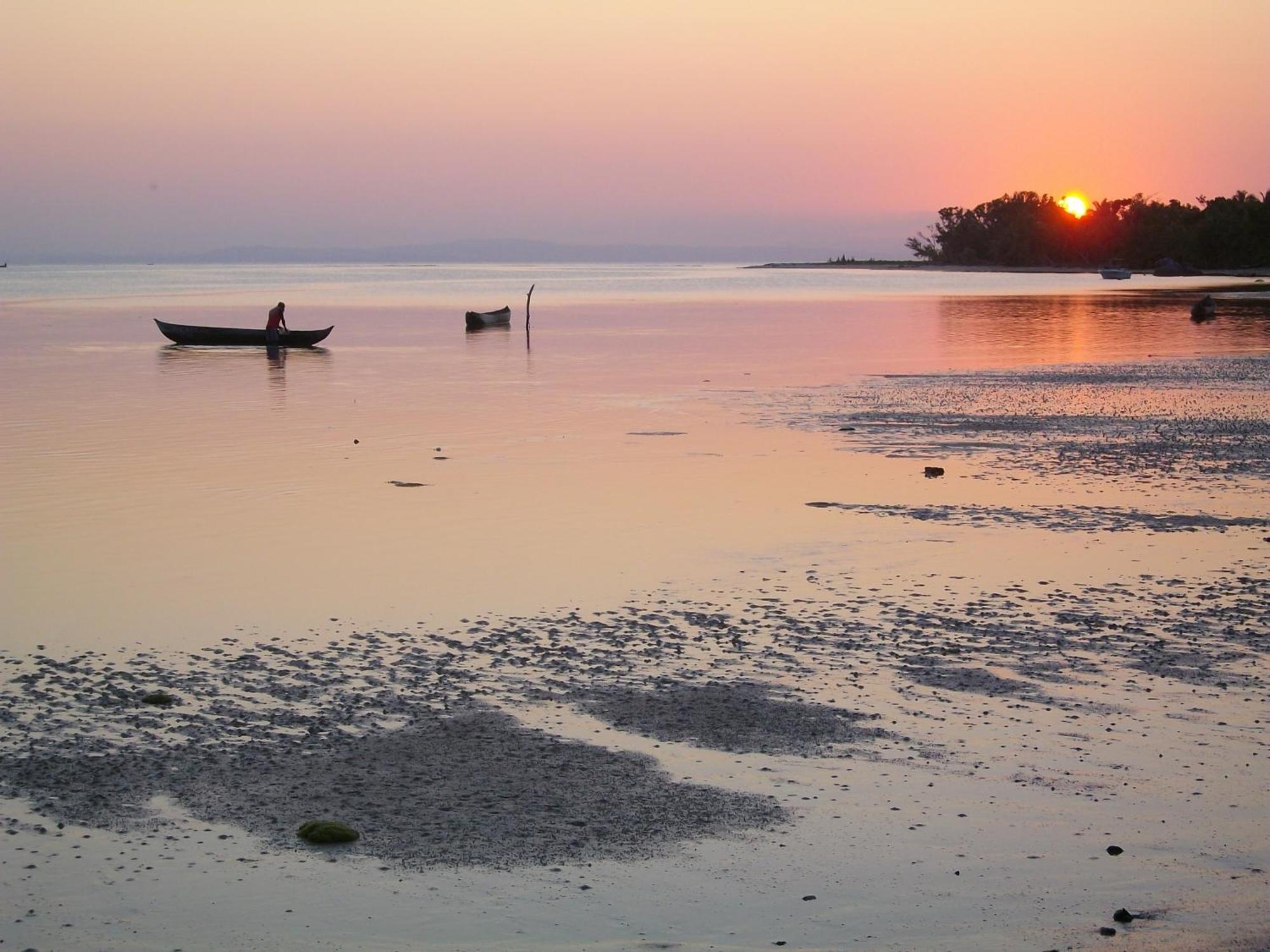 Les Lémuriens Ile aux Nattes Exterior foto