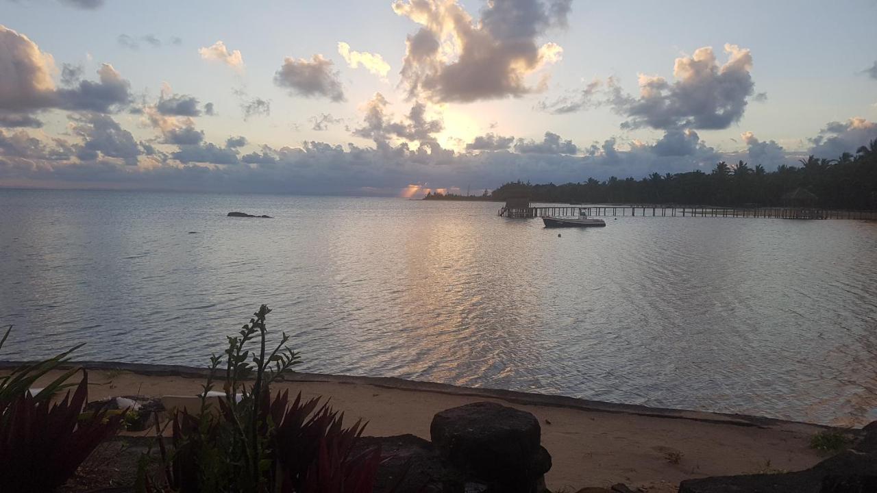 Les Lémuriens Ile aux Nattes Exterior foto